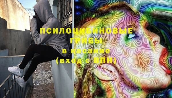 гашик Абинск